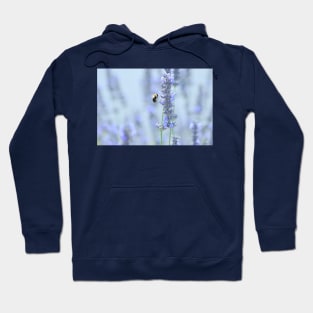 to be a bee in summertime is for the bee quite sublime... Hoodie